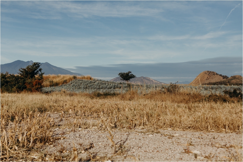 Guadalajara Agave Fields session