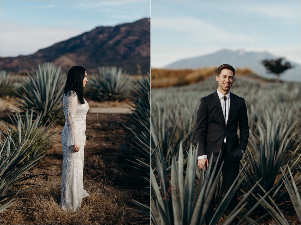 Guadalajara Agave Fields session