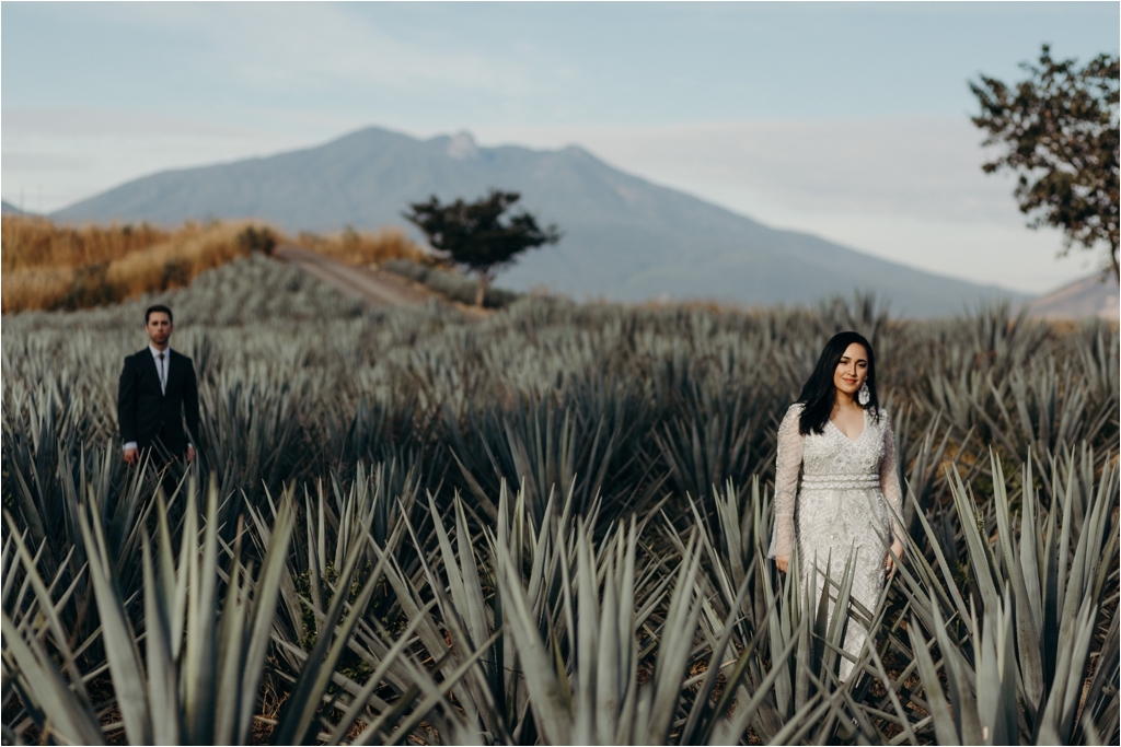 Guadalajara Agave Fields session