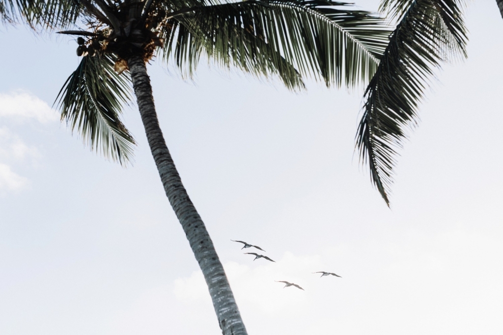 habitas tulum wedding portraits