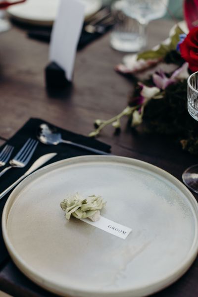 ColorfulModernjungleweddingCT-831