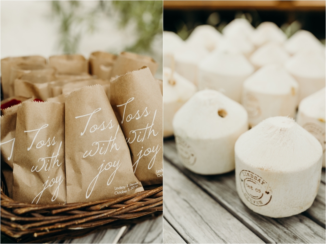 Vegan Wedding in Sanara Tulum
