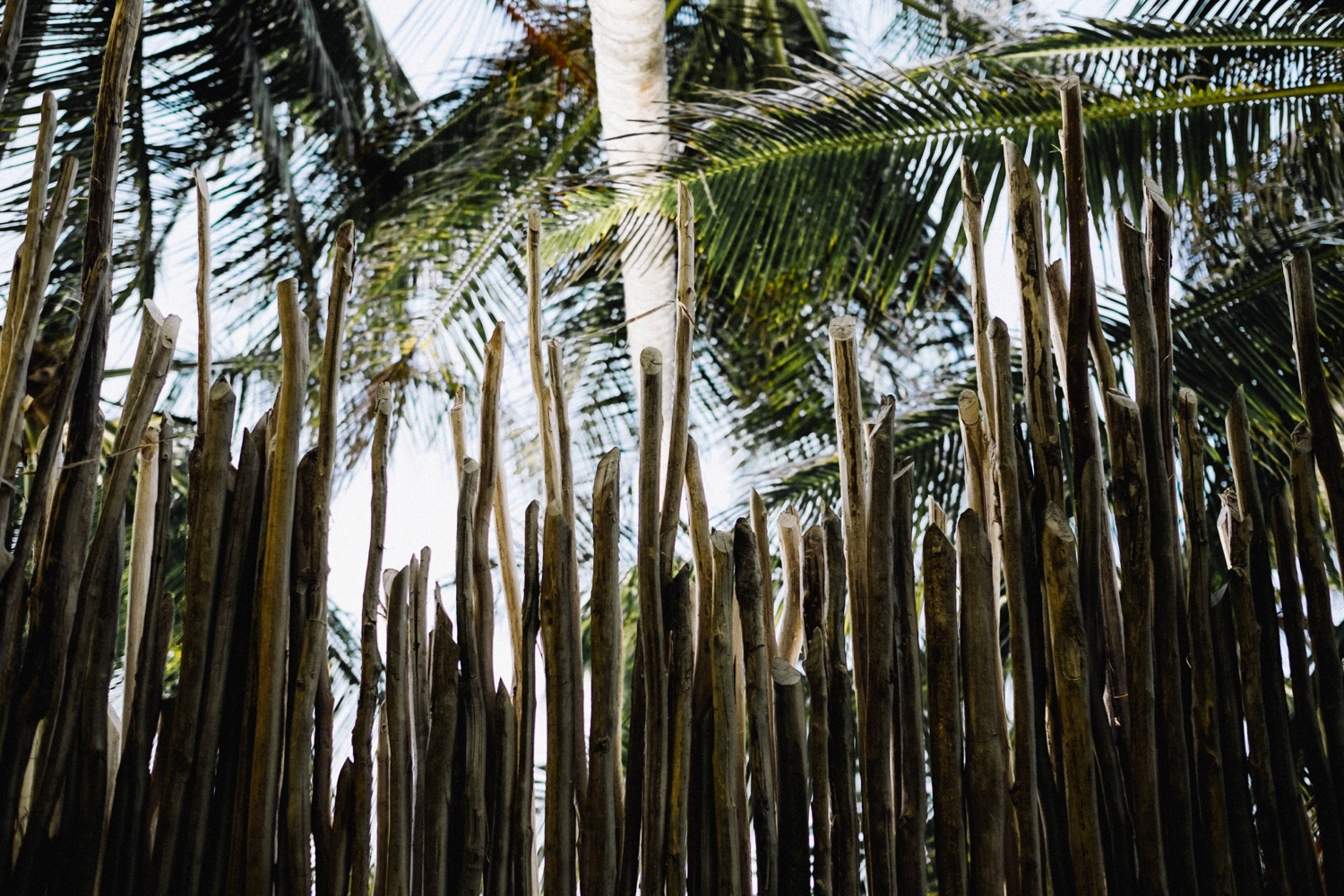 Tulum Photographer Nomade MemoryBox photography